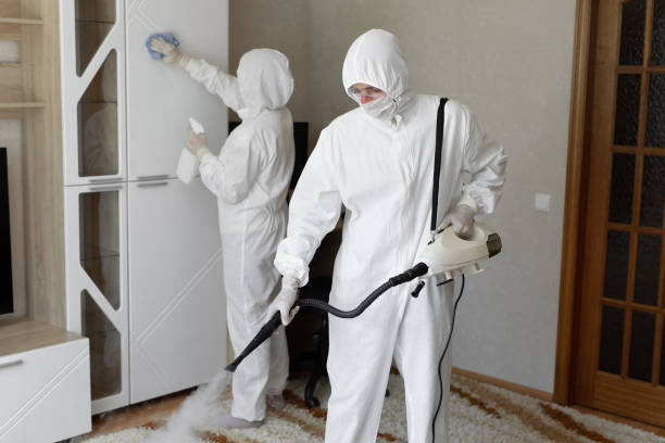 Affordable Infectious Disease Decontamination solutions in Kyburz, CA