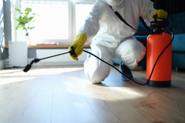 Reliable Infectious Disease Decontamination contractor in Kyburz, CA by Crime Scene Cleaner Online